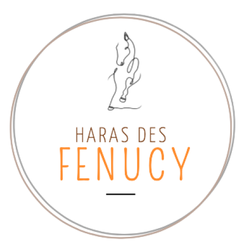Haras des Fenucy